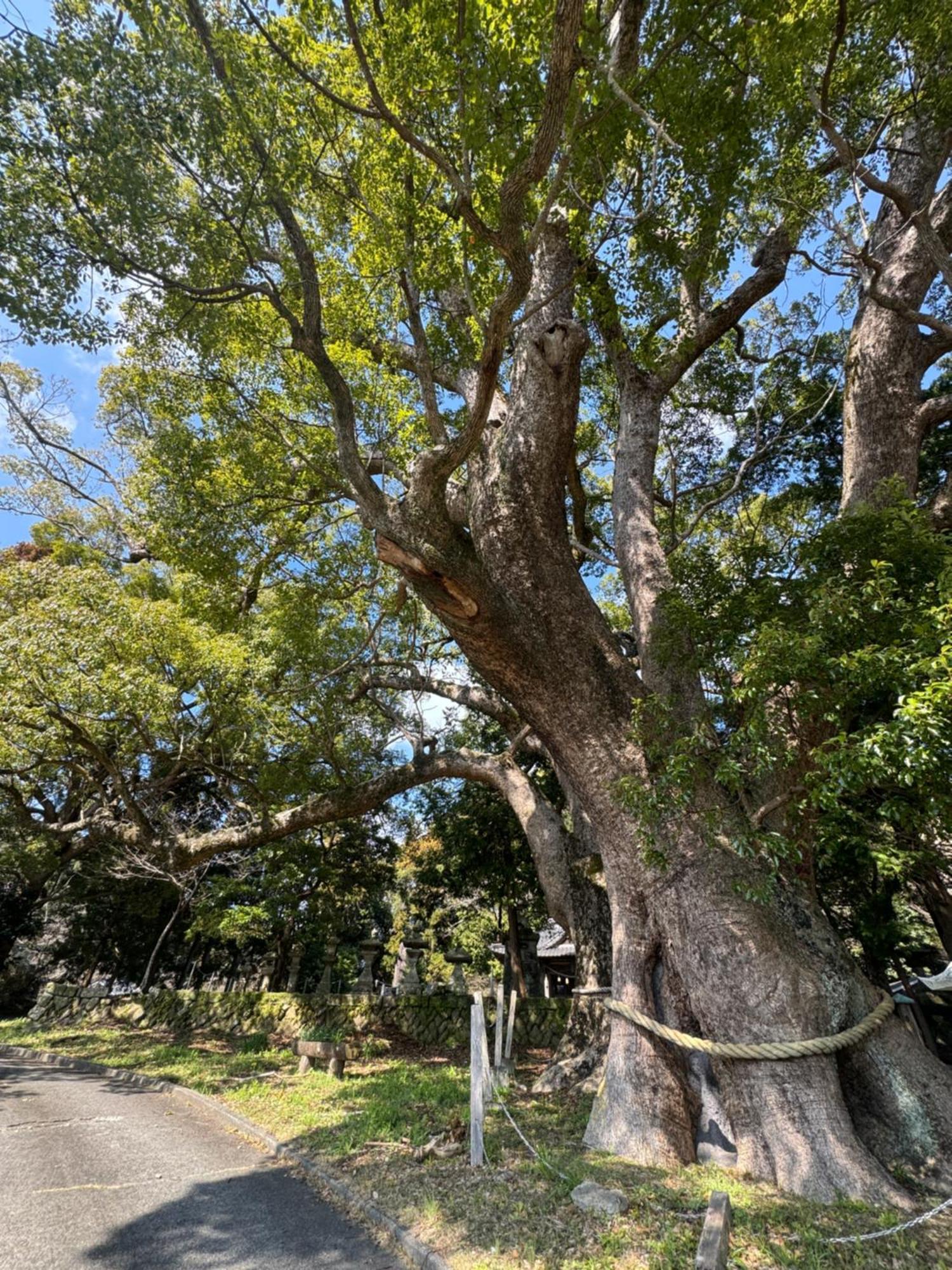 Ｋａｏｒｕ　Ｉｎｎ Villa Minamiizu Luaran gambar